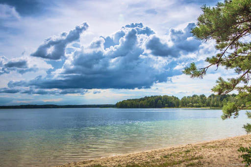 Шацькі озера: найбільші водойми.