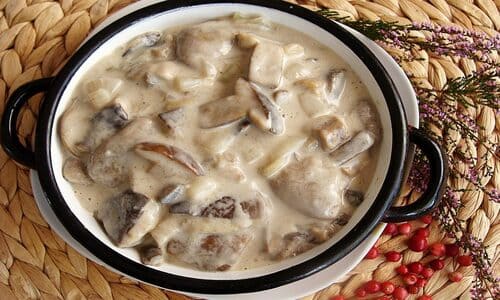 Історія мачанки