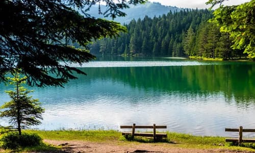 відпочинок на озерах Волинської області