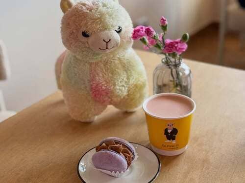 Alpaca Coffee в Луцьку