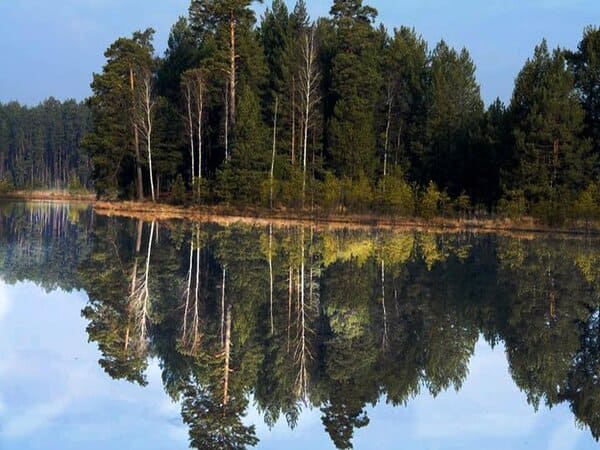 Гідрологічний заказник та озеро Святе